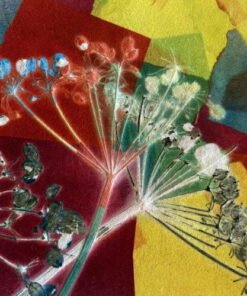 gillian cooper terrific transfer printing - abstract colours with cow parsley