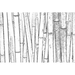 bamboo pattern